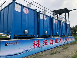 康达尔集装箱巴沙鱼标苗数据新鲜出炉 成活率100 ,单产每立方233斤,阶段料比仅0.79